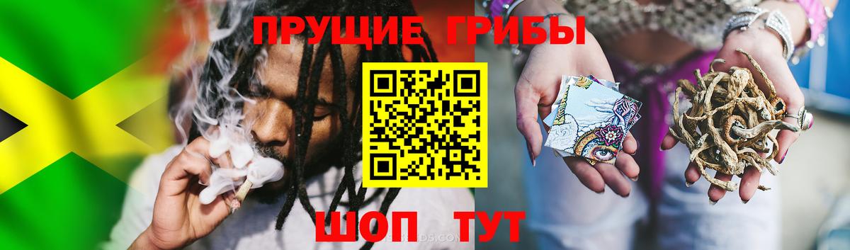 Ртищево  Галлюциногенные грибы Psilocybine cubensis  цена   Вход с VPN 
